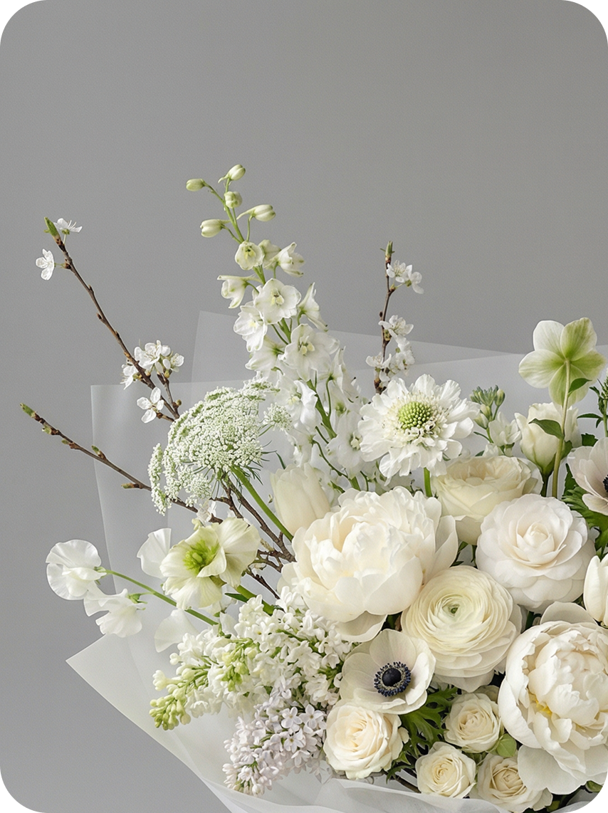 ✣ ALBA BLANC