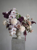 Orchidee Royale