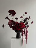 Rouge Velours
