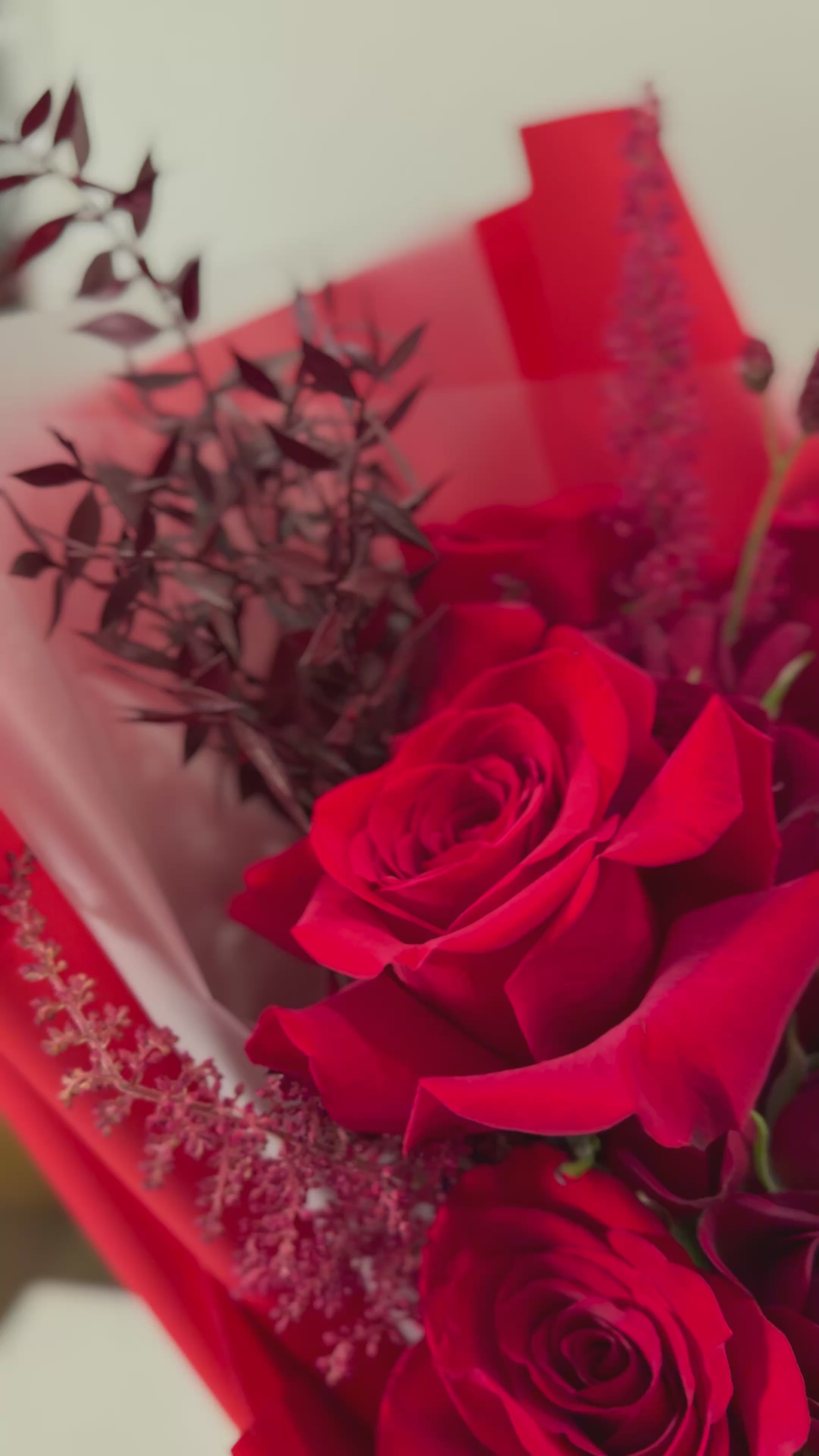 ✣ AMOUR ROUGE